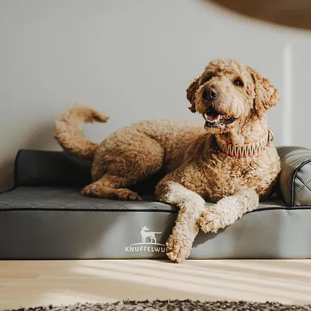 Noord Ξενοδοχείο